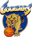 https://img.qsepay.com.cn/img/basketball/team/f3c8d0e3b58b498db2377f10d0c146ec.gif